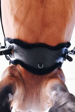 Kentucky Horsewear Lederkurzgurt Sheepskin Dressage -Reitsportbedarf 329961 BL 6
