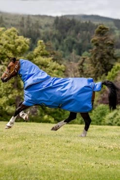Horseware Amigo Hero Ripstop Plus Regendecke Mit Abnehmbarem Halsteil, 100g -Reitsportbedarf 331255 B DB G 01