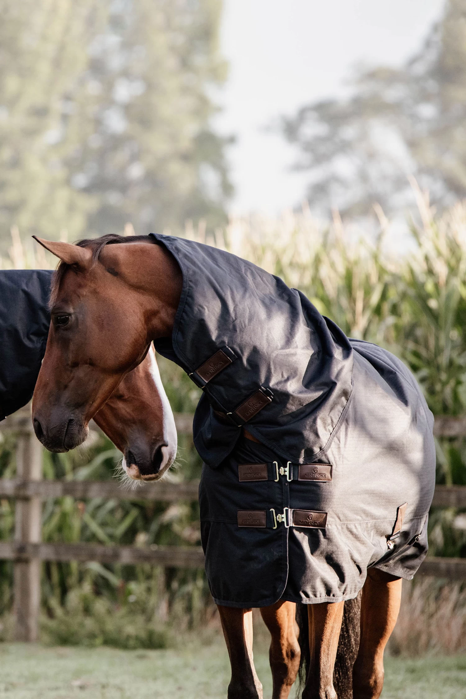 Kentucky Horsewear All Weather Waterproof Classic Regendecke, 0g 1 Kentucky Horsewear All Weather Waterproof Classic Regendecke, 0g