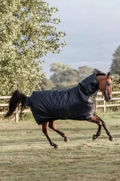 Kentucky Horsewear All Weather Waterproof Classic Regendecke, 0g 5 Kentucky Horsewear All Weather Waterproof Classic Regendecke, 0g -Reitsportbedarf 332981 DB 3