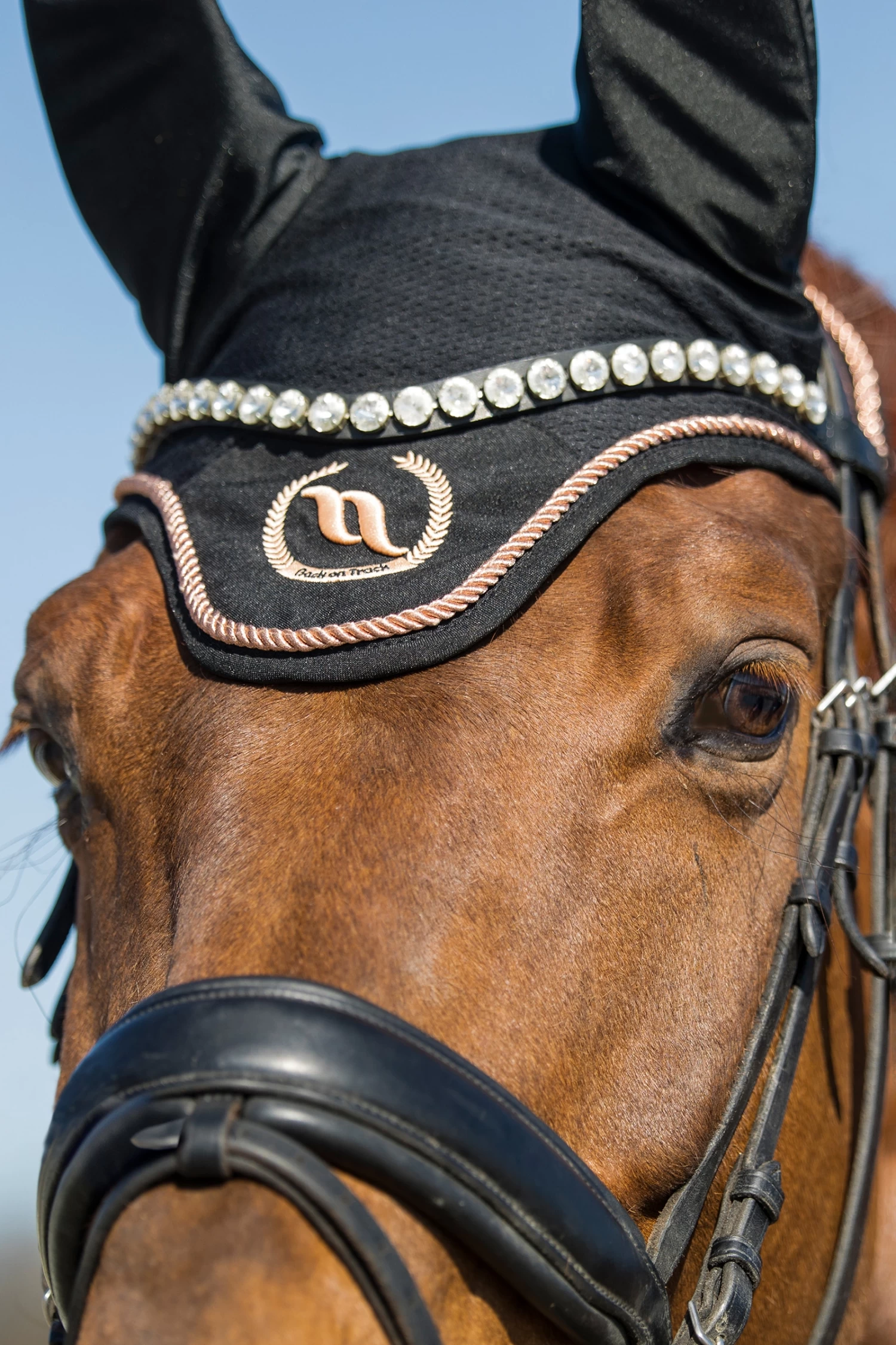 Back On Track Haze Kollektion Fliegenhauben 9 Back On Track Haze Kollektion Fliegenhauben – Bild 9