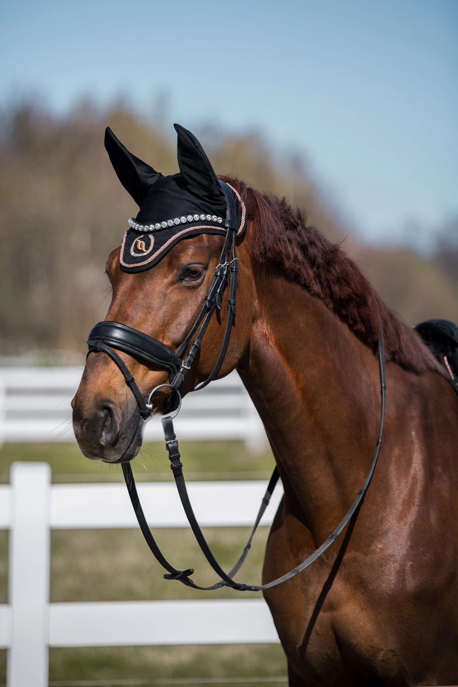 Back On Track Haze Kollektion Fliegenhauben 10 Back On Track Haze Kollektion Fliegenhauben – Bild 10