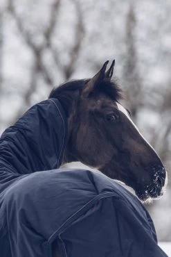 Kentucky Horsewear All Weather Waterproof Classic Winterdecke, 300g -Reitsportbedarf 333289 DB 6