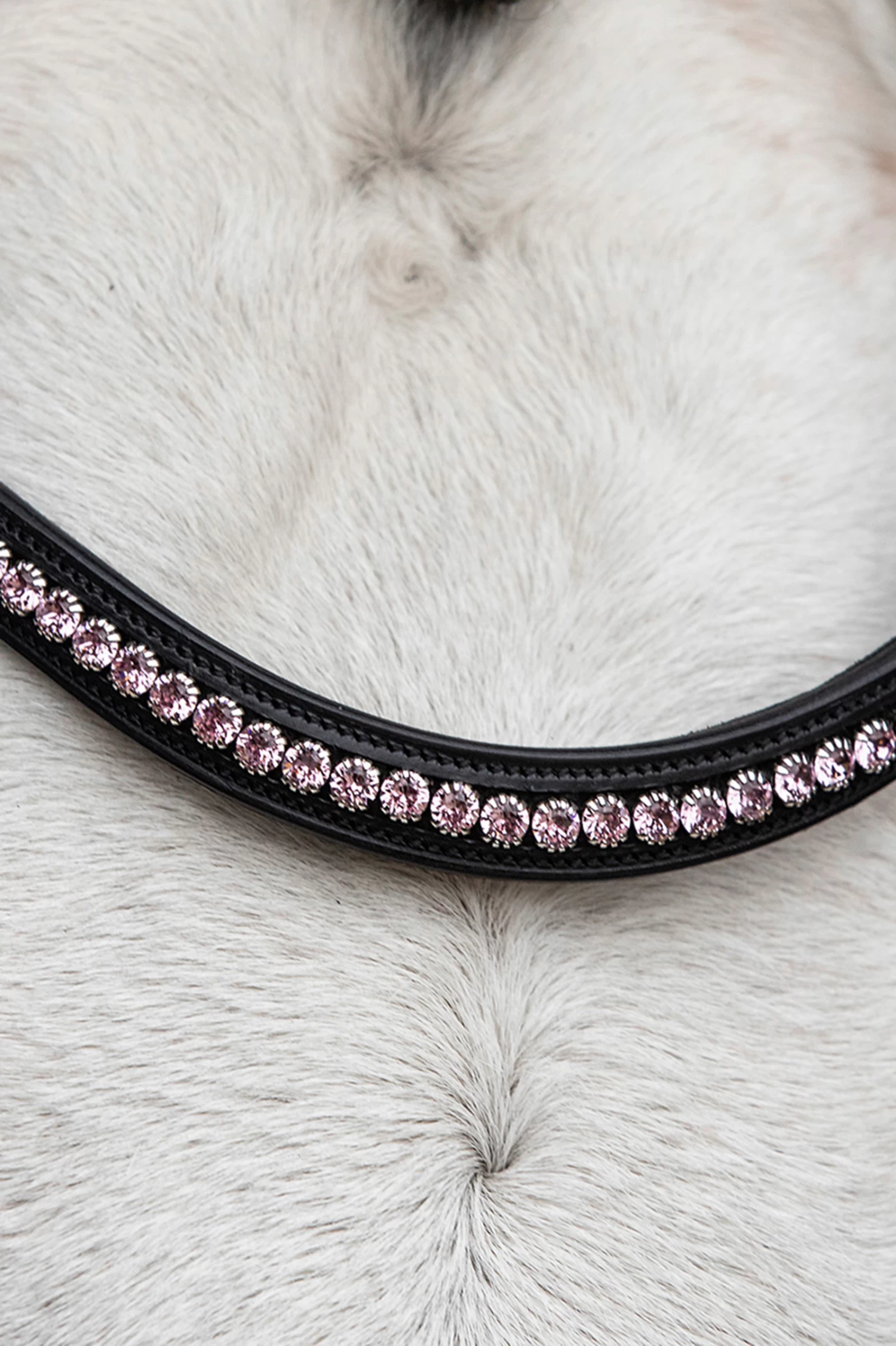 Schockemöhle Diamond Select Stirnriemen 6 Schockemöhle Diamond Select Stirnriemen – Bild 6