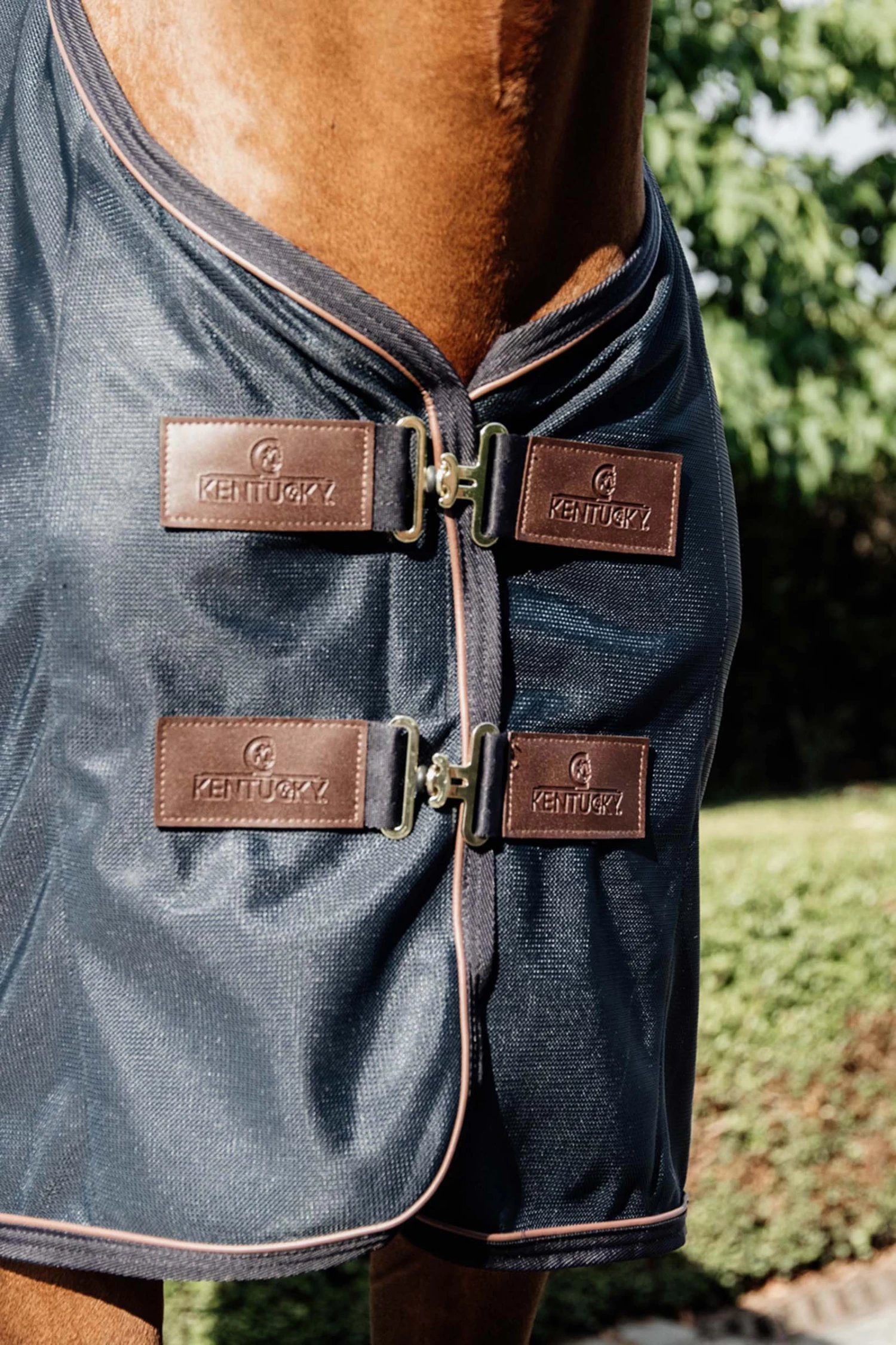 Kentucky Horsewear Mesh Fliegendecke 3 Kentucky Horsewear Mesh Fliegendecke – Bild 3