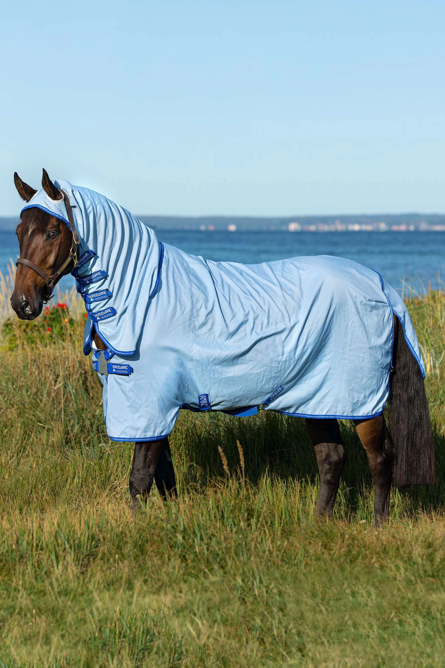Horseware Amigo Hoody Exzemer Decke Mit Festem Halsteil 1 Horseware Amigo Hoody Exzemer Decke Mit Festem Halsteil