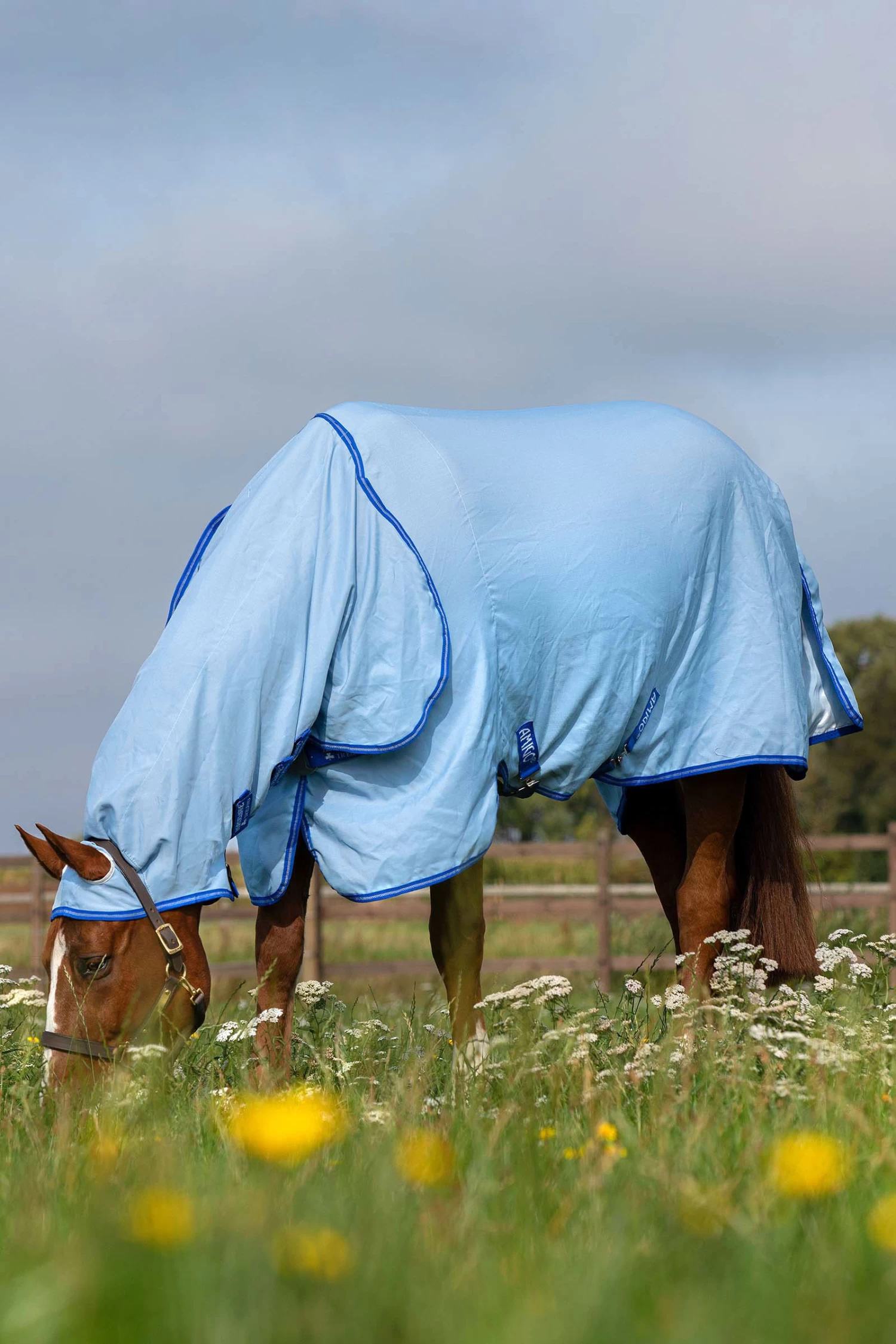 Horseware Amigo Hoody Exzemer Decke Mit Festem Halsteil 4 Horseware Amigo Hoody Exzemer Decke Mit Festem Halsteil – Bild 4