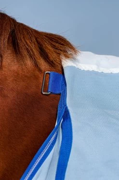 Horseware Amigo Hoody Exzemer Decke Mit Festem Halsteil 17 Horseware Amigo Hoody Exzemer Decke Mit Festem Halsteil -Reitsportbedarf 334223 ABB SGB SI 9