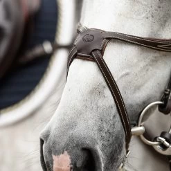 PS Of Sweden Athens Mexikanische Trense -Reitsportbedarf 334872 BR 2