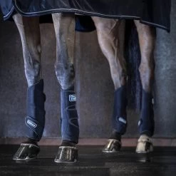 LeMieux Tendon Chill Kühlgamaschen 8 LeMieux Tendon Chill Kühlgamaschen -Reitsportbedarf 335036 BL 4