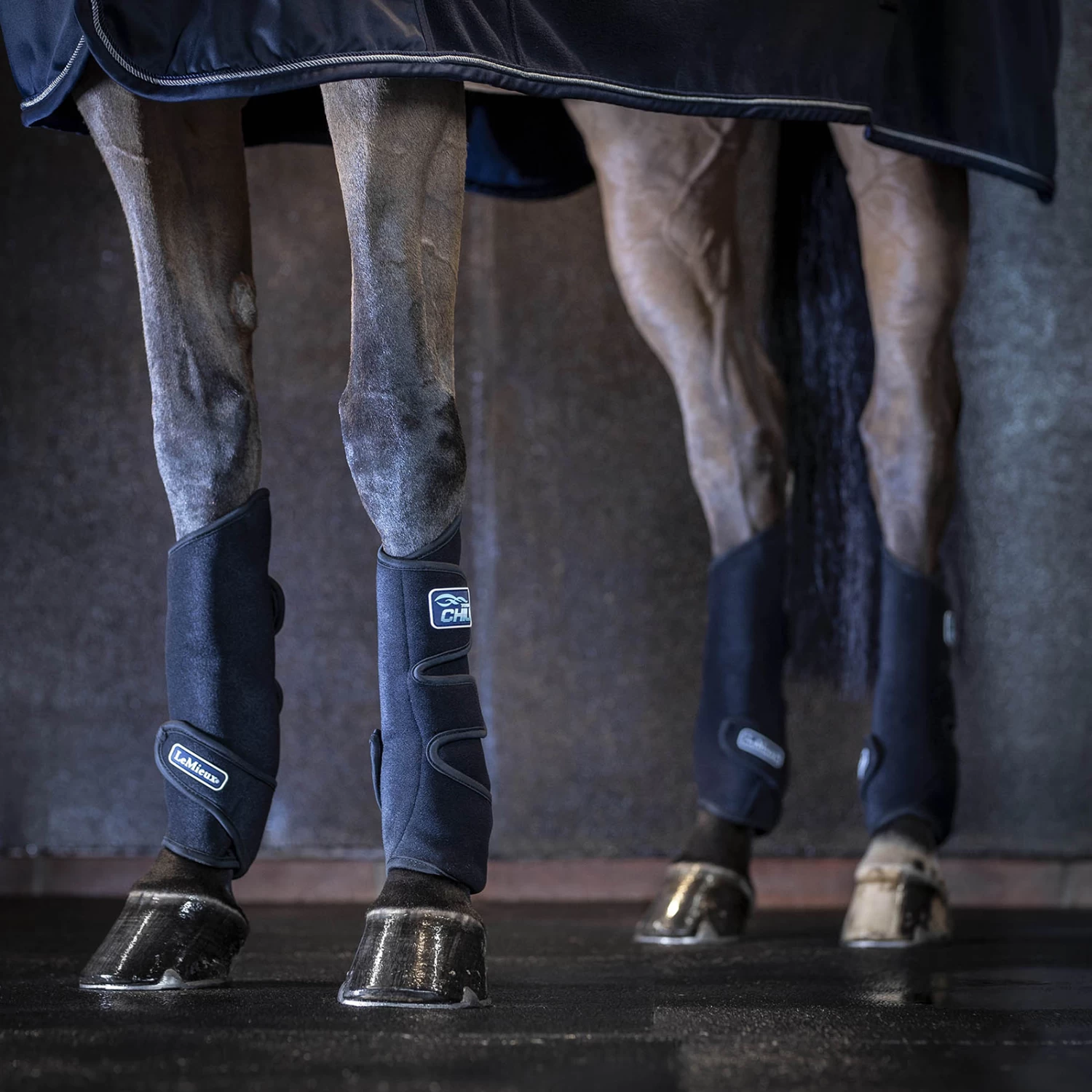 LeMieux Tendon Chill Kühlgamaschen 4 LeMieux Tendon Chill Kühlgamaschen – Bild 4