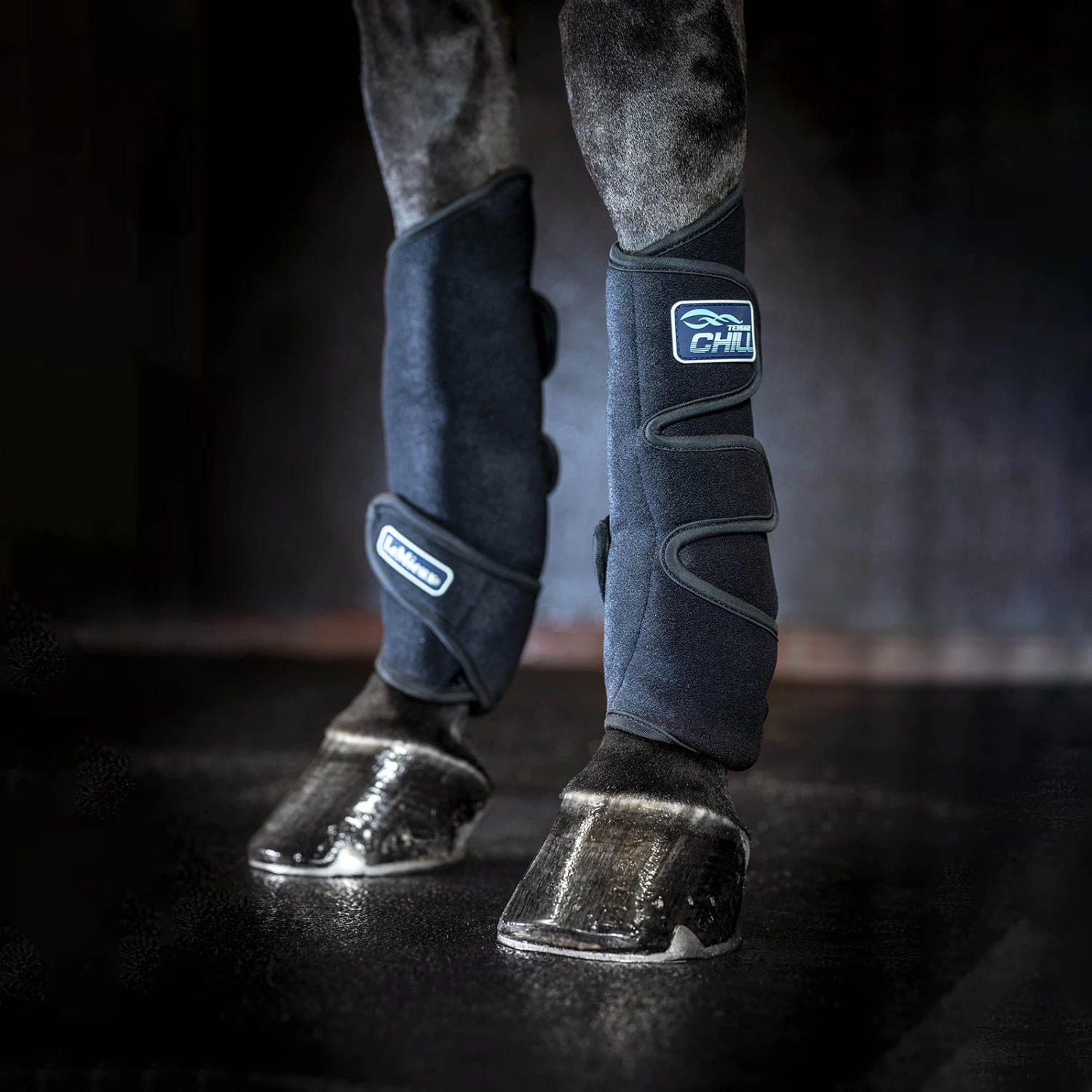 LeMieux Tendon Chill Kühlgamaschen 5 LeMieux Tendon Chill Kühlgamaschen – Bild 5