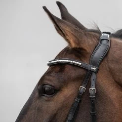 Schockemöhle Equitus Rho Genickstück 7 Schockemöhle Equitus Rho Genickstück -Reitsportbedarf 335287 BL SI 3