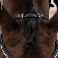 Schockemöhle Equitus Rho Genickstück 8 Schockemöhle Equitus Rho Genickstück -Reitsportbedarf 335287 BL SI 4