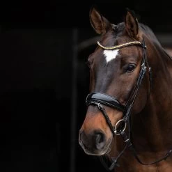 Schockemöhle Stanton Select Trense -Reitsportbedarf 335292 PBL OR SI 2