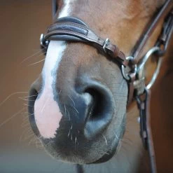 Kavalkade Levana Trense -Reitsportbedarf 335722 BR 2