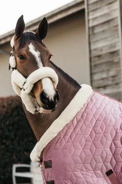 Kentucky Horsewear Velvet Pony Turnierdecke, 160g -Reitsportbedarf 336616 RRPI 3