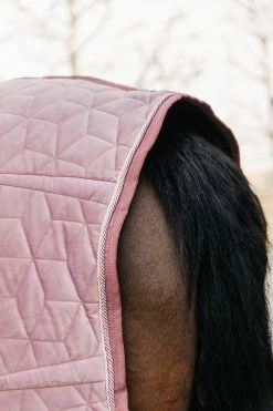 Kentucky Horsewear Velvet Pony Turnierdecke, 160g -Reitsportbedarf 336616 RRPI 6