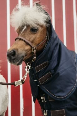 Kentucky Horsewear Pony All Weather Classic Weidedecke, 0g -Reitsportbedarf 336885 DB 3