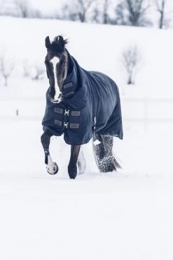 Kentucky Horsewear Tiny All Weather Weidedecke, 300g 8 Kentucky Horsewear Tiny All Weather Weidedecke, 300g -Reitsportbedarf 336887 DB 3