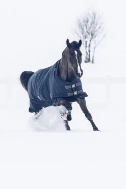 Kentucky Horsewear Tiny All Weather Weidedecke, 300g 9 Kentucky Horsewear Tiny All Weather Weidedecke, 300g -Reitsportbedarf 336887 DB 4