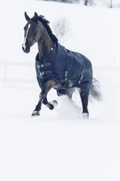 Kentucky Horsewear Tiny All Weather Weidedecke, 300g 10 Kentucky Horsewear Tiny All Weather Weidedecke, 300g -Reitsportbedarf 336887 DB 5
