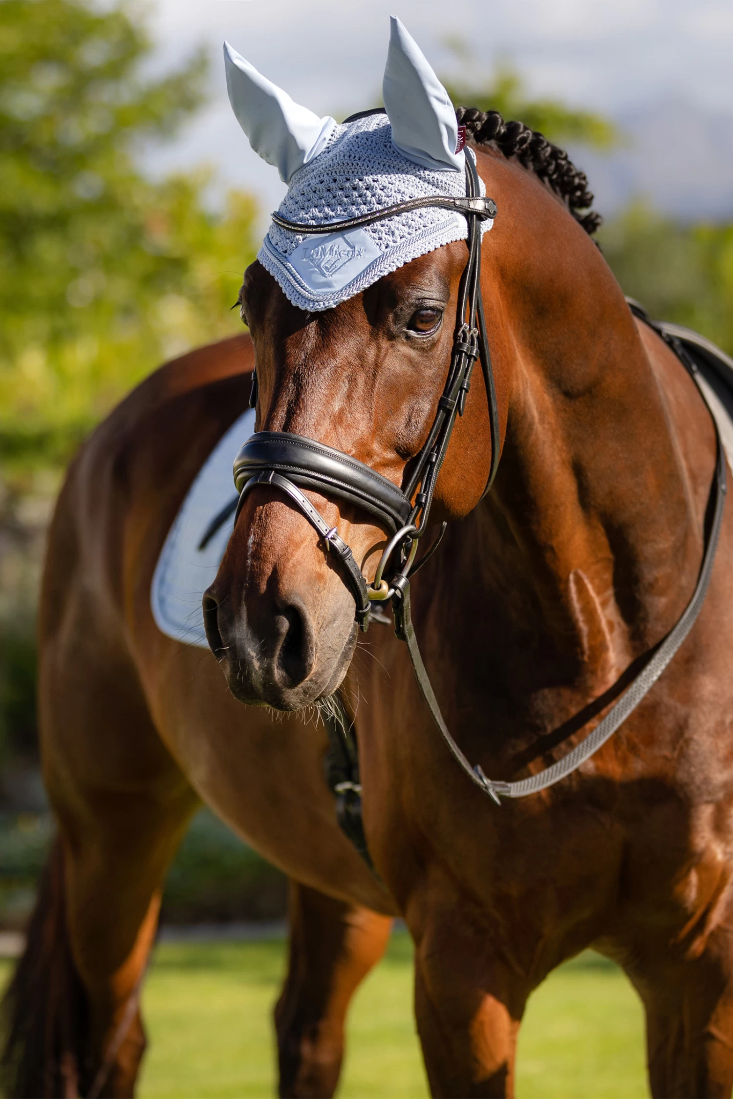 LeMieux Classic Fliegenohren 16 LeMieux Classic Fliegenohren – Bild 16