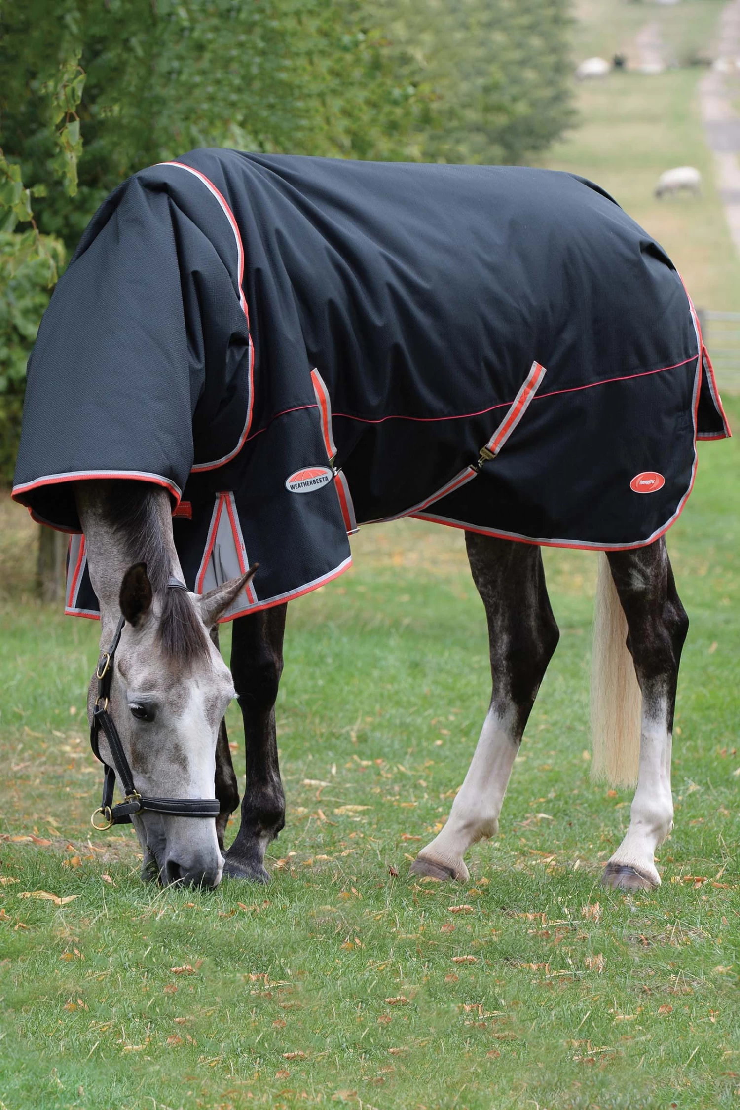 Weatherbeeta Comfitec Premier Mit Therapy-Tec Inkl. Anbehmbarem Halsteil, 50g 1 Weatherbeeta Comfitec Premier Mit Therapy-Tec Inkl. Anbehmbarem Halsteil, 50g