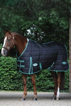 Reitsportbedarf -Reitsportbedarf 338285 BL BDGR 4