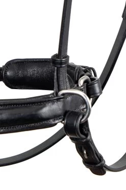 F.R.A. Alizée Mistral Gebissloser Zaum 14 F.R.A. Alizée Mistral Gebissloser Zaum -Reitsportbedarf 340183 BL BL 3