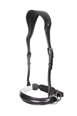 F.R.A. Alizée Mistral Gebissloser Zaum 20 F.R.A. Alizée Mistral Gebissloser Zaum -Reitsportbedarf 340183 BL WH 2