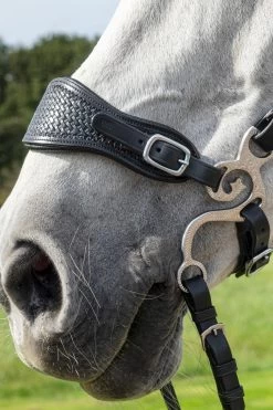 F.R.A. Barco Hackamore Anzüge, 150mm -Reitsportbedarf 340188 SS 2