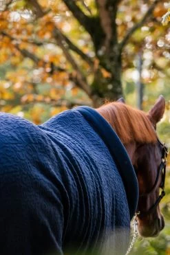 Horseware Embossed Cosy Neck Abschwitzdecke 13 Horseware Embossed Cosy Neck Abschwitzdecke -Reitsportbedarf 340951 DB BU 7
