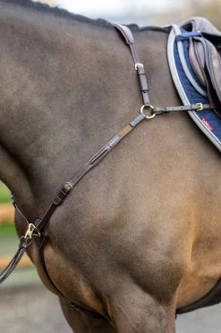 LeMieux Vorderzeug Mit Abnehmbarem Martingal -Reitsportbedarf 342208 HVBR 4