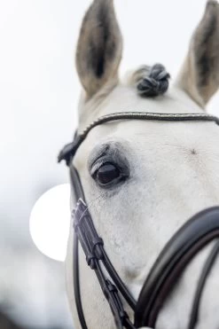 LeMieux Classic Dressurtrense -Reitsportbedarf 342209 HVBR 4