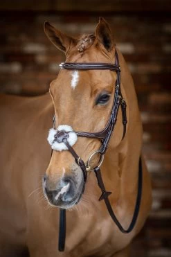 LeMieux Mexikanische Trense -Reitsportbedarf 342214 HVBR 1