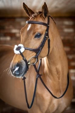 LeMieux Mexikanische Trense -Reitsportbedarf 342214 HVBR 2