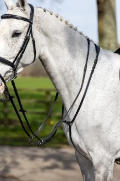 LeMieux Ringmartingal -Reitsportbedarf 342217 BL 1