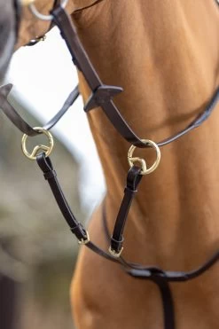 LeMieux Ringmartingal -Reitsportbedarf 342217 HVBR 2