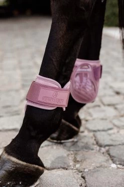 Kentucky Horsewear Jungpferde Streichkappe -Reitsportbedarf 342513 ORPI 3