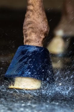 Waldhausen Water Boot, Paar -Reitsportbedarf 342831 B 4