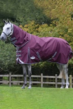 Weatherbeeta Comfitec Plus Dynamic II Detach-a-Neck Weidedecke Mit Abnehmbarem Halsteil, 360g -Reitsportbedarf 343119 DRE G 3