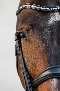 Schockemöhle Milton Anatomische Kandare -Reitsportbedarf 343547 BL SI 3