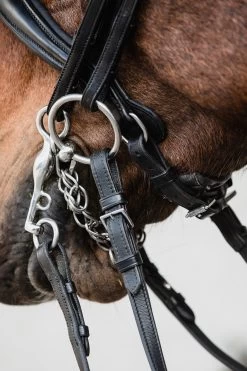 Schockemöhle Milton Anatomische Kandare -Reitsportbedarf 343547 BL SI 4