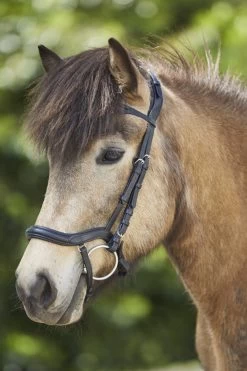 Waldhausen Anatomic Island Trensenzaum -Reitsportbedarf 343984 BL 3