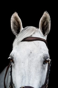 Horseware Rambo Micklem 2 Multi Trense -Reitsportbedarf 345014 DBR 02