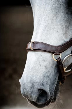 Horseware Rambo Micklem 2 Multi Trense -Reitsportbedarf 345014 DBR 04