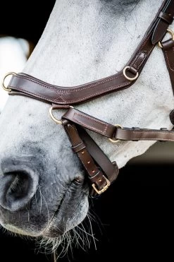 Horseware Rambo Micklem 2 Multi Trense -Reitsportbedarf 345014 DBR 05