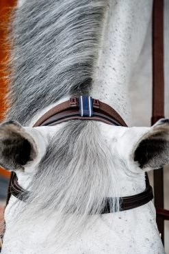 Horseware Rambo Micklem 2 Multi Trense -Reitsportbedarf 345014 DBR 06