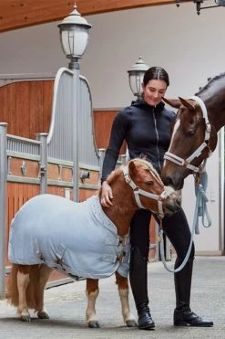 Eskadron Platinum 2023 Velvet Crystal Shetland Abschwitzdecke -Reitsportbedarf 345484 PLB 02